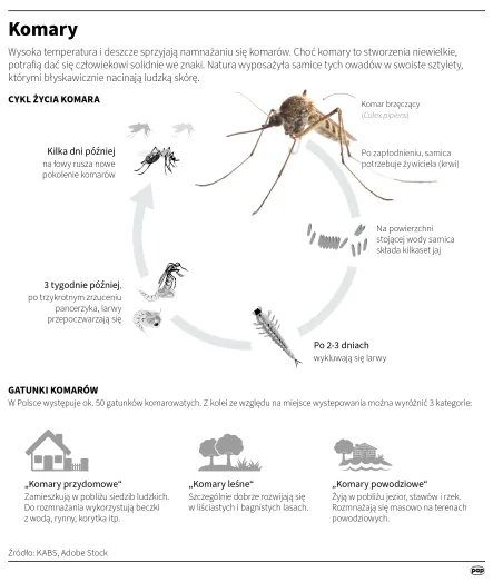 Infografika PAP