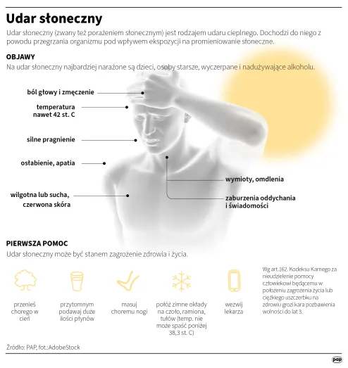Infografika PAP