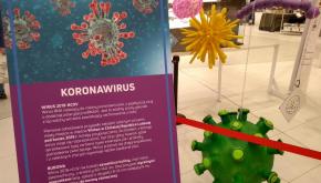 Fot. PAP/ Zdjęcie z wystawy wirusów i bakterii w Galerii Północnej w Warszawie
