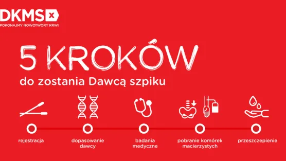 Infografika DKMS