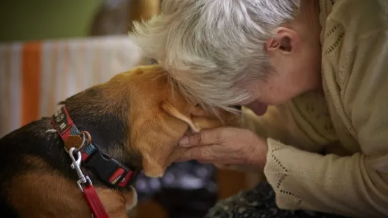 zdj.Fundacja Dr Clown