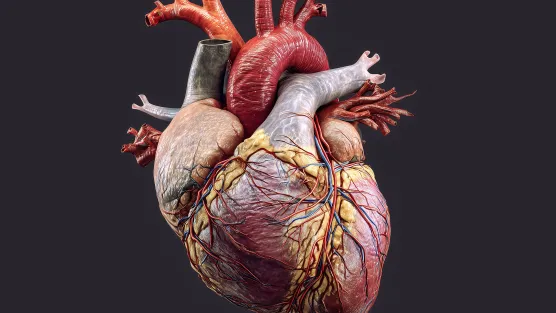 Adobe/Michał Magiera