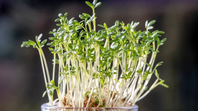 PAP/Tytus Żmijewski