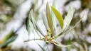 Adobe Stock/anna_krotofil