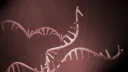 Adobe Stock/scienceDISPLAY